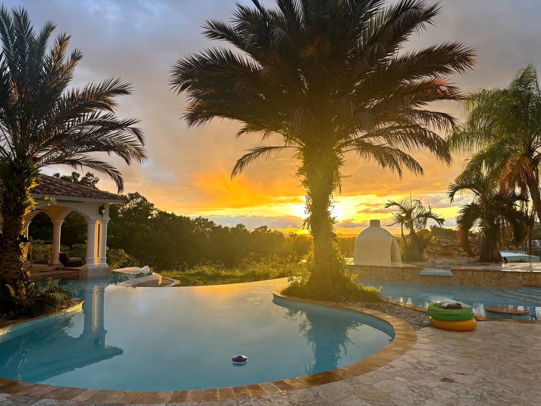 Guests enjoying the signature pool at Oasis